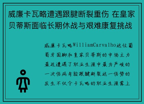 威廉卡瓦略遭遇跟腱断裂重伤 在皇家贝蒂斯面临长期休战与艰难康复挑战 威廉卡瓦略遭遇跟腱断裂重伤 在皇家贝蒂斯面临长期休战与艰难康复挑战